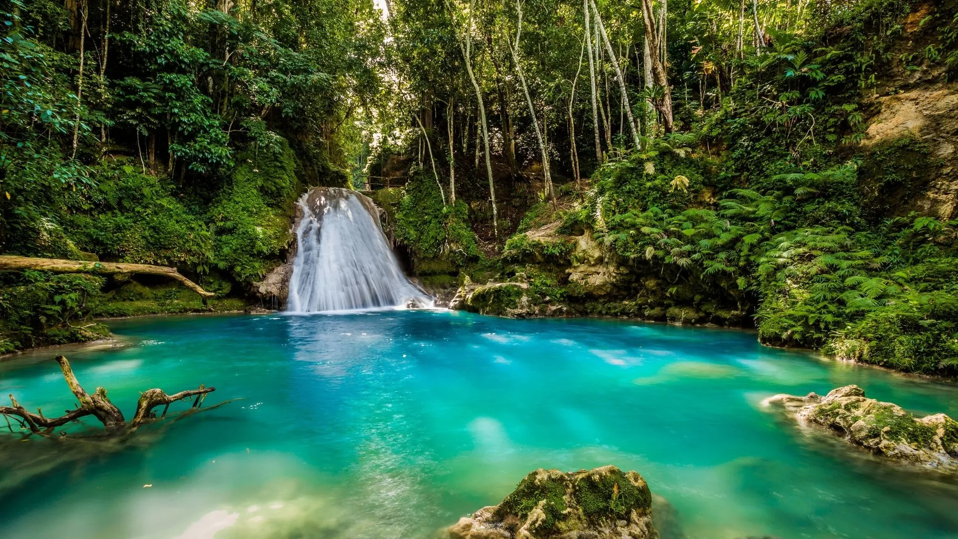attractions in Jamaica