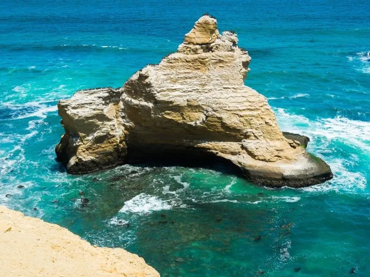 what to do in paracas peru