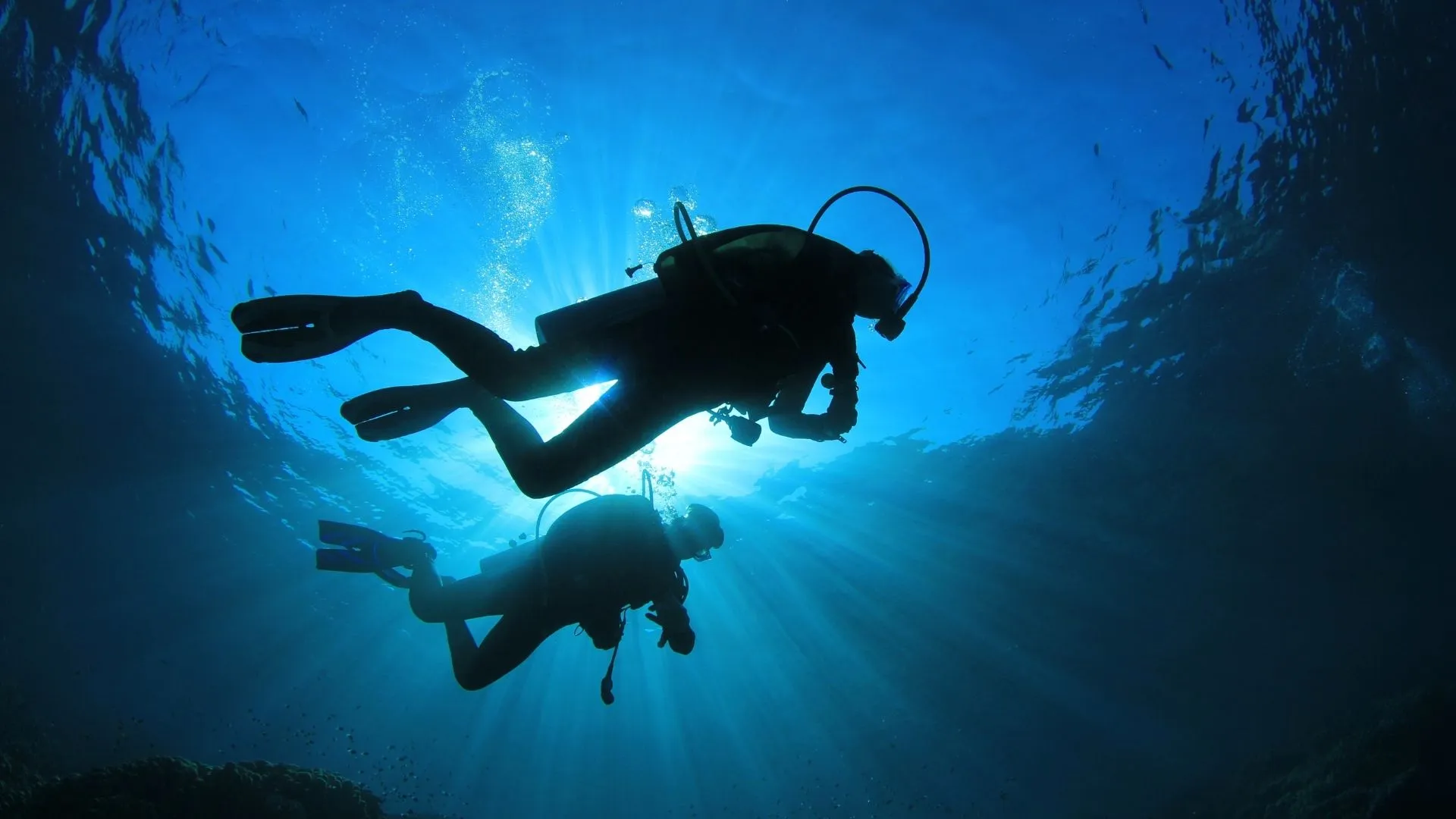 curacao island scuba diving curacao island scuba diving