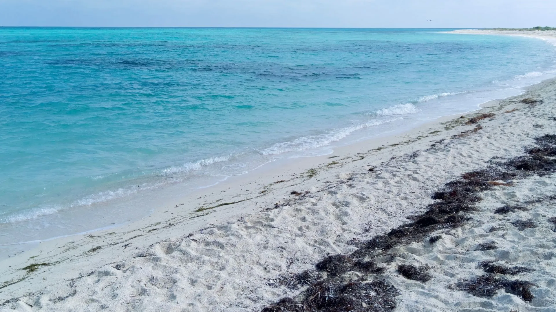 dry tortugas (3) weekend getaways in Florida Dry Tortugas National Park
