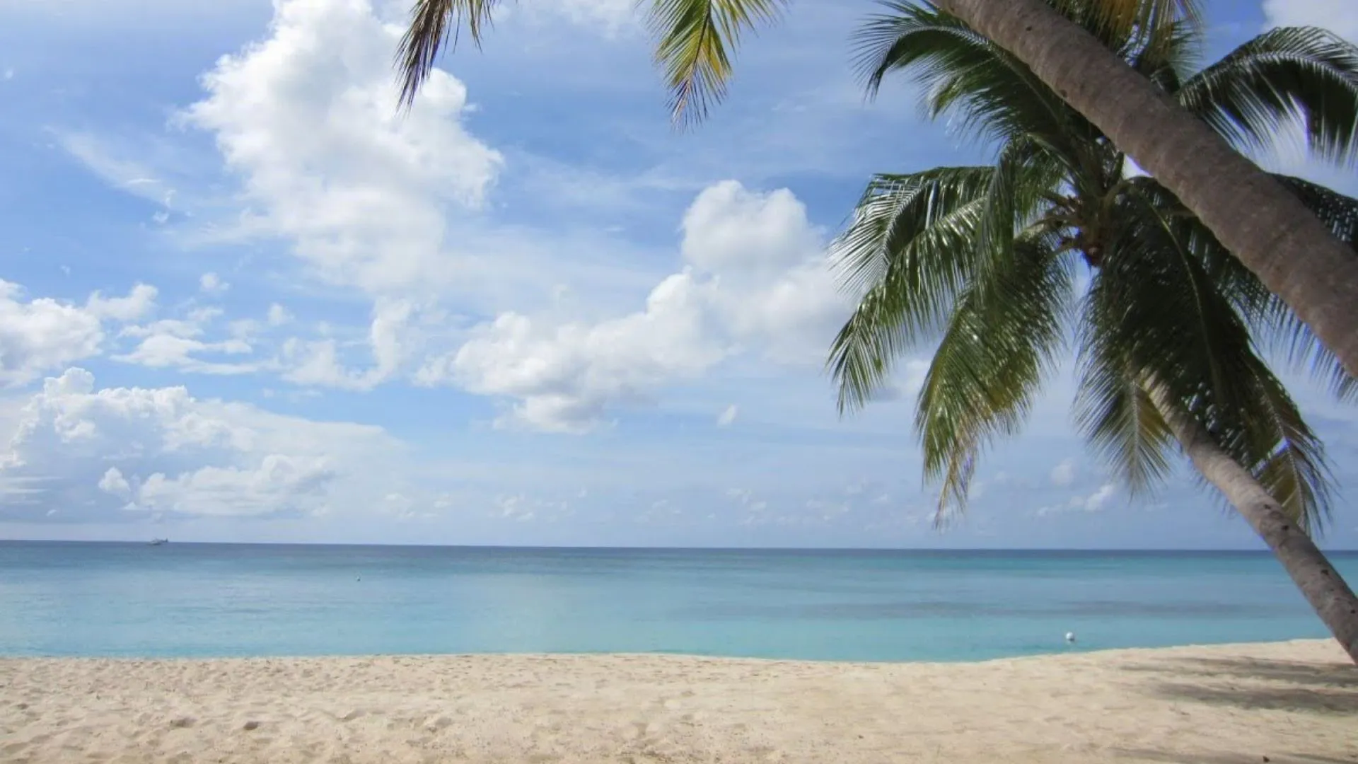 grand cayman cheap vacation grand cayman