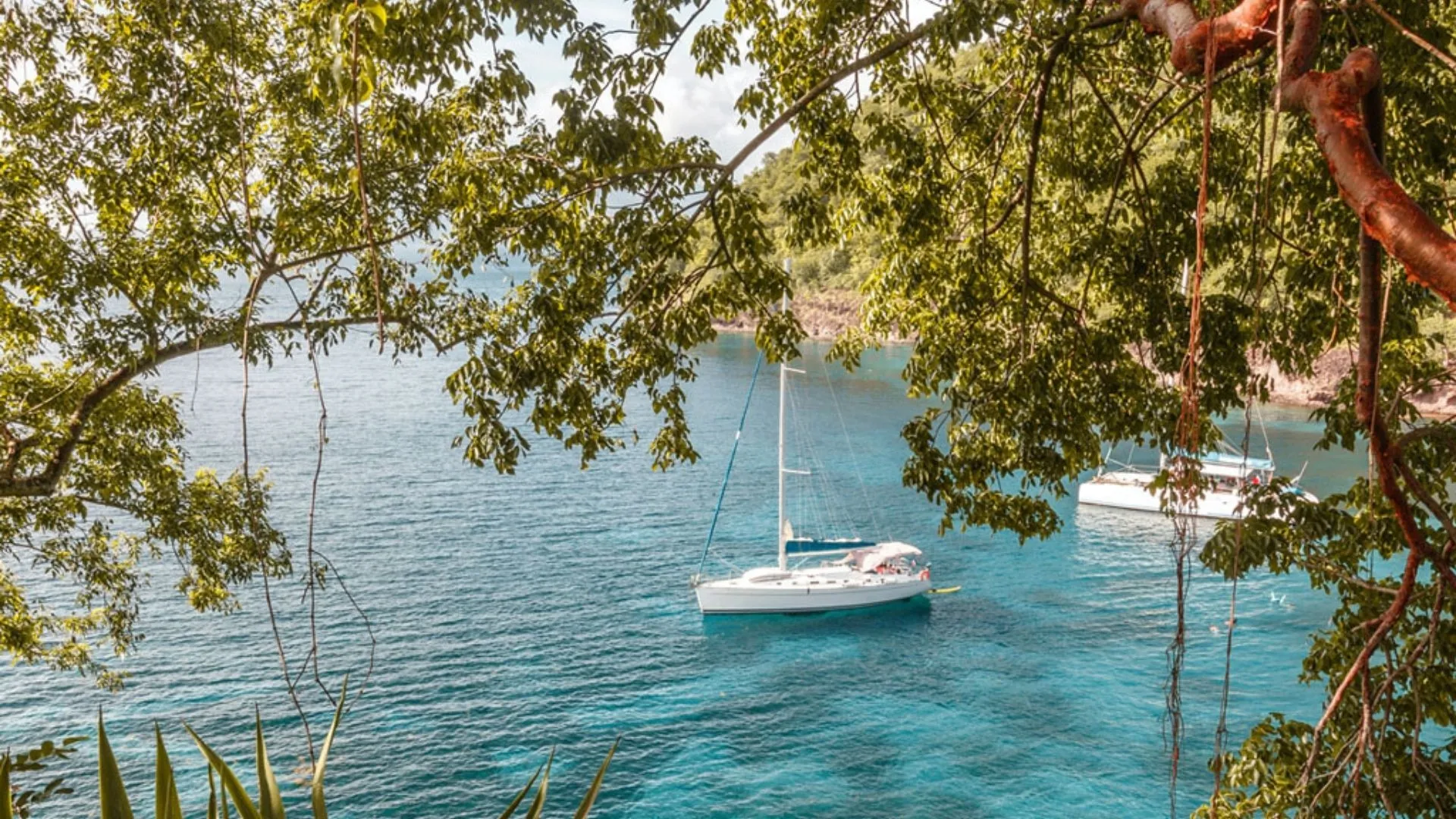 les anses d'arlet les anses d'arlet cheapest destinations in the Caribbean