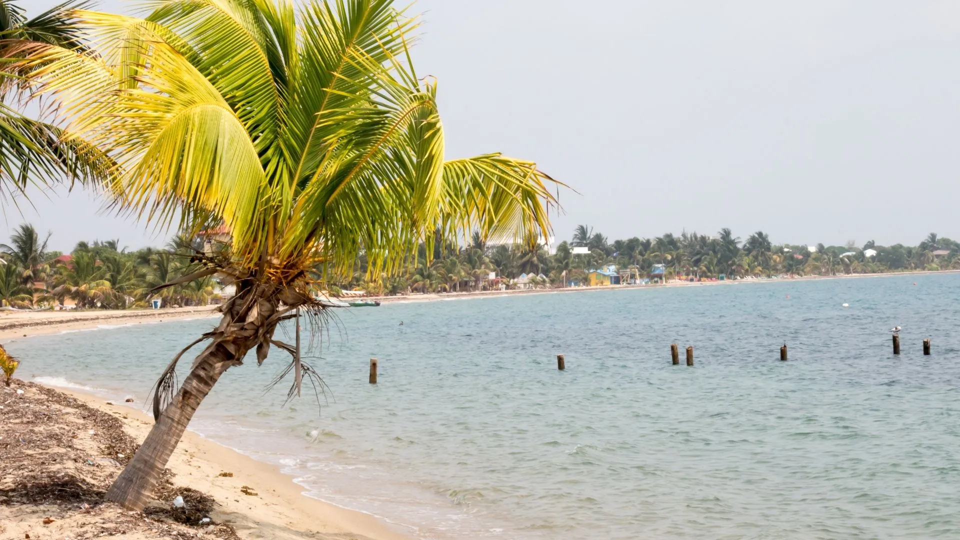 placencia cheapest destinations in the Caribbean Placencia