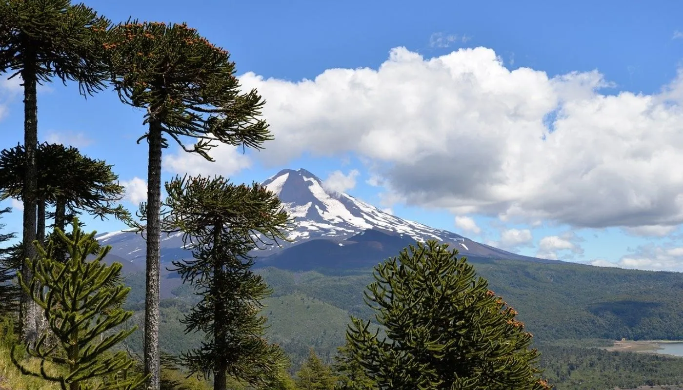 Conguillio National Park