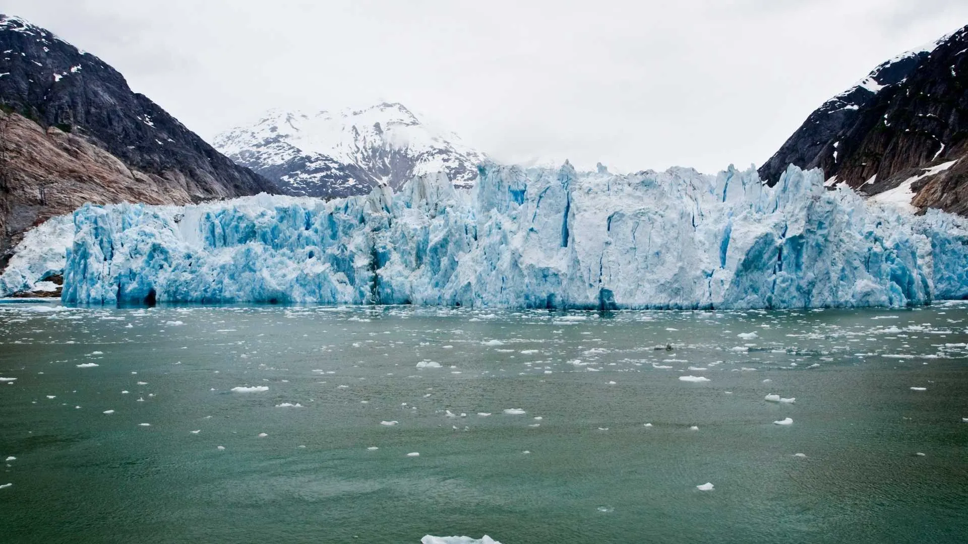 Dawes Glacier Cruise Dawes Glacier Cruise