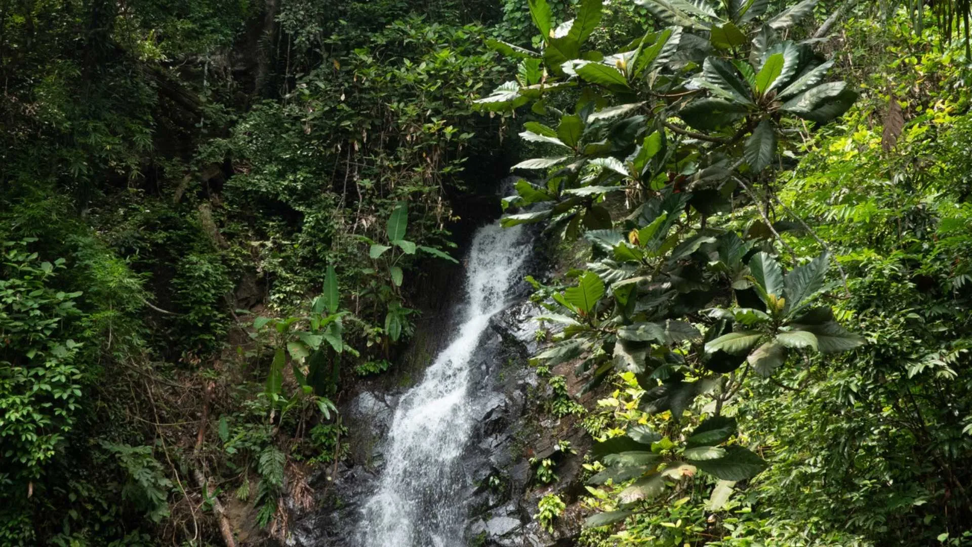 Durian Falls, Malaysia beautiful waterfalls Durian Falls, Malaysia beautiful waterfalls