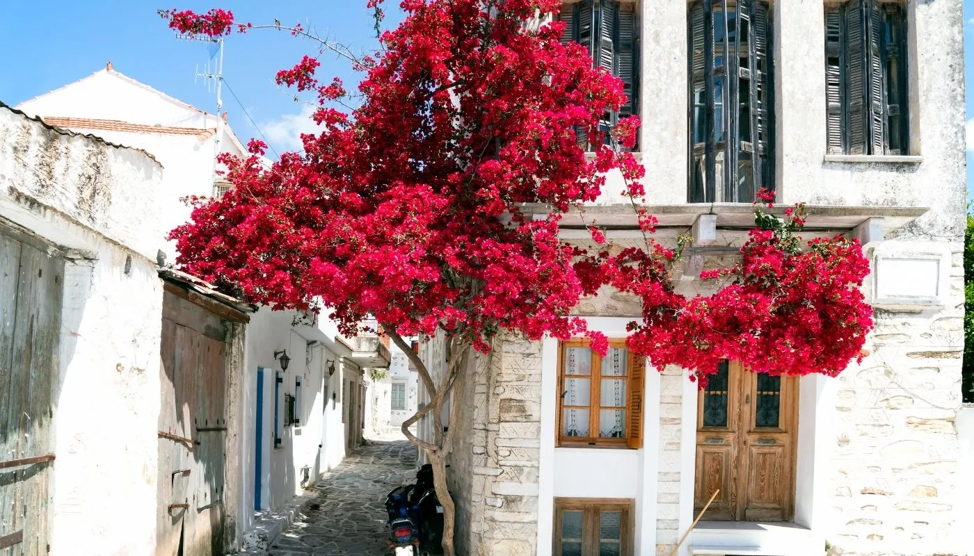 cheapest greek island for a greece vacation cheapest greek island for a greece vacation