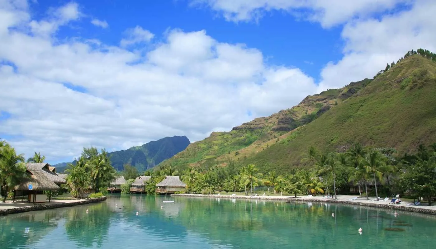 south pacific cruises south pacific cruises