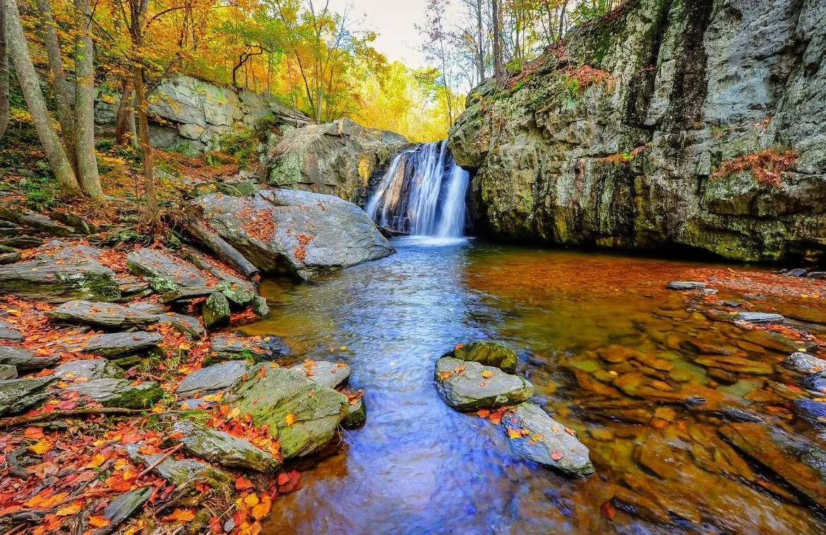 Maryland (2)