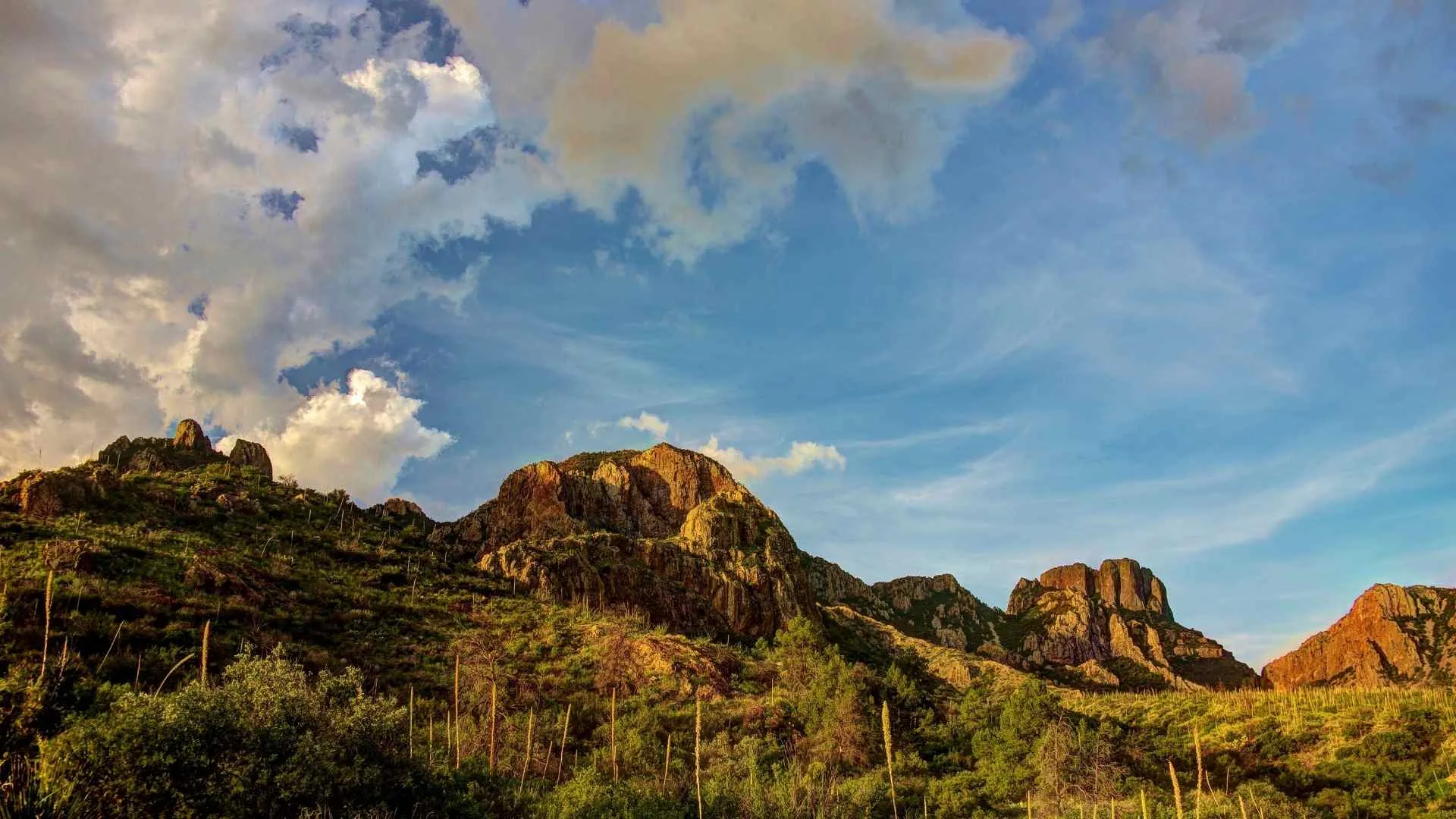 Texas Big Bend Texas Big Bend