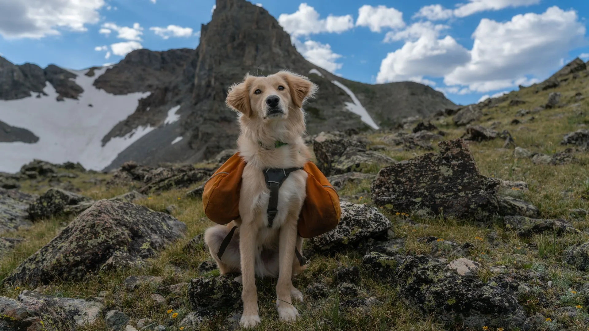 Backpacking vs. hiking (2) hiking vs. backpacking