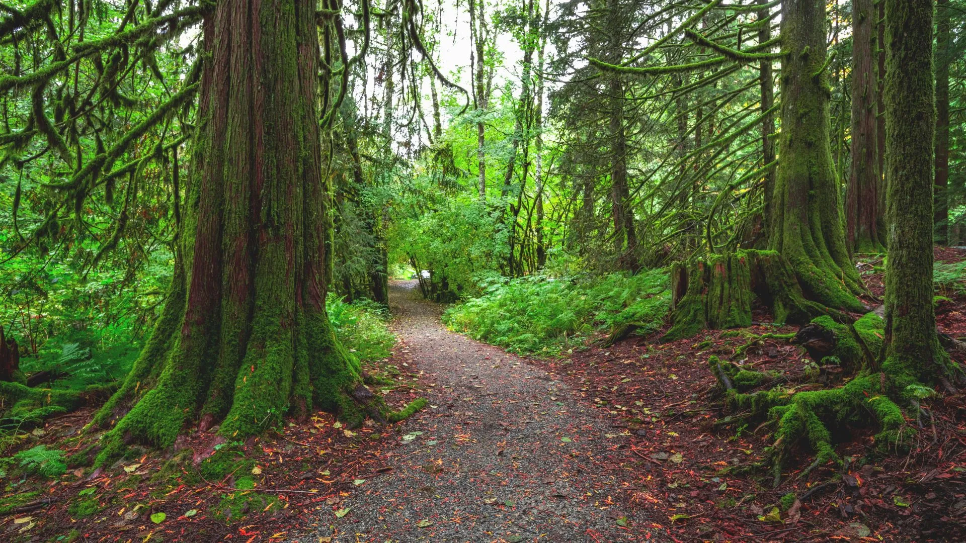 British Columbia-12