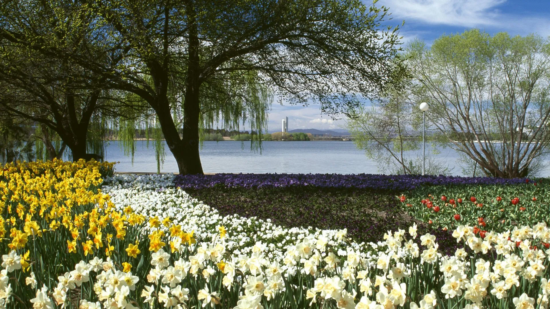 Canberra Australia-6