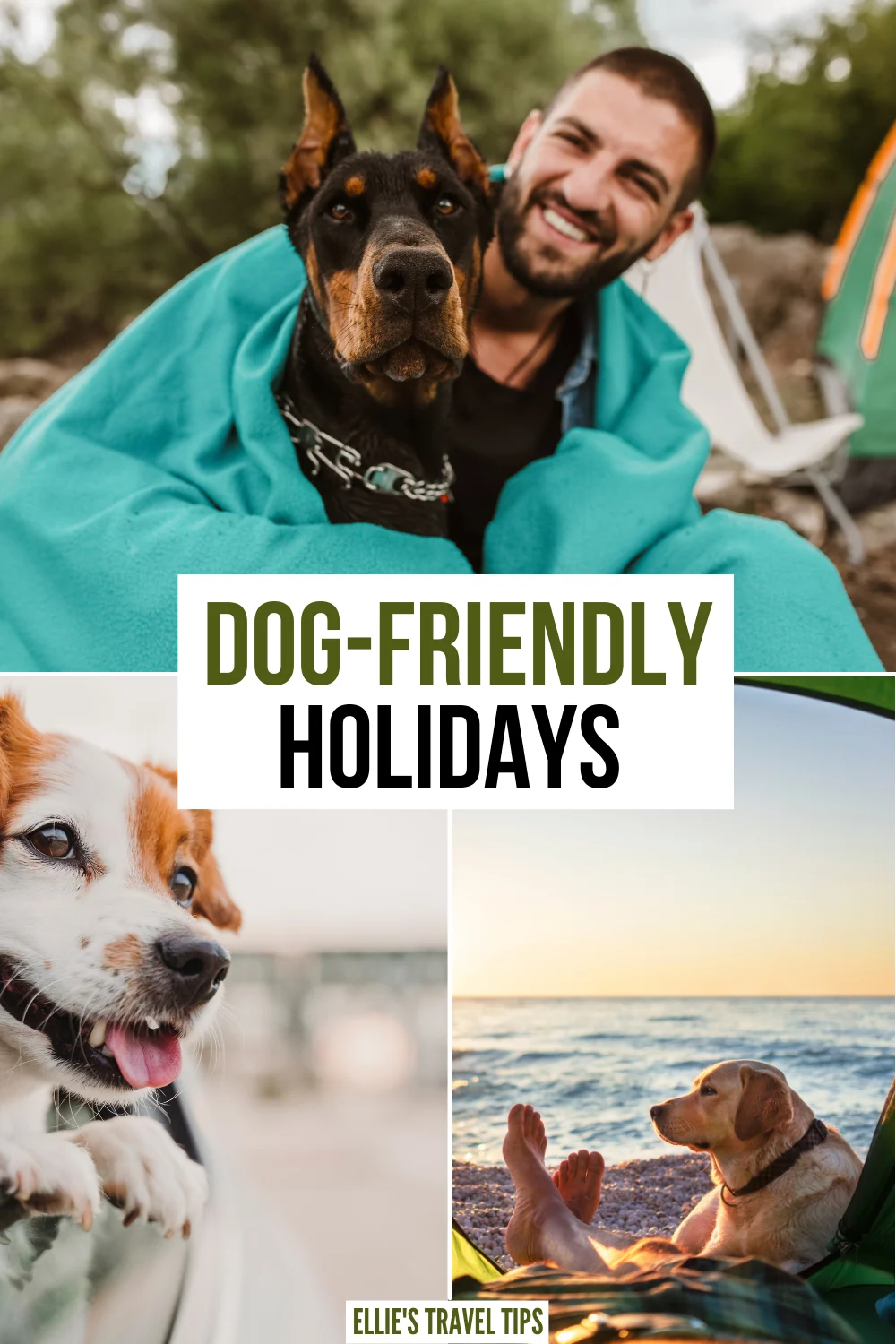 Dog Friendly Holidays
