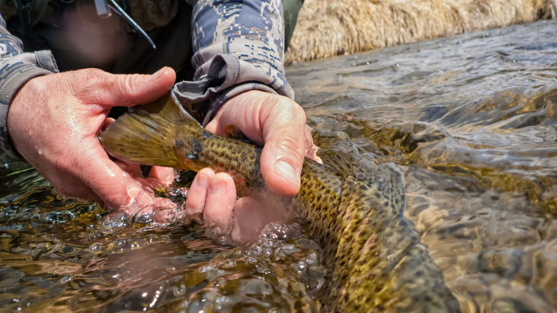 Driftless Fishing-3 Driftless Fly Fishing