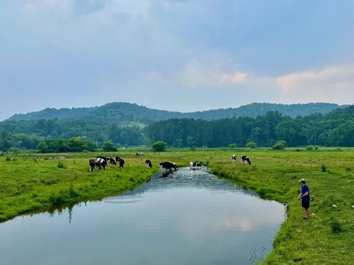 Driftless Fishing