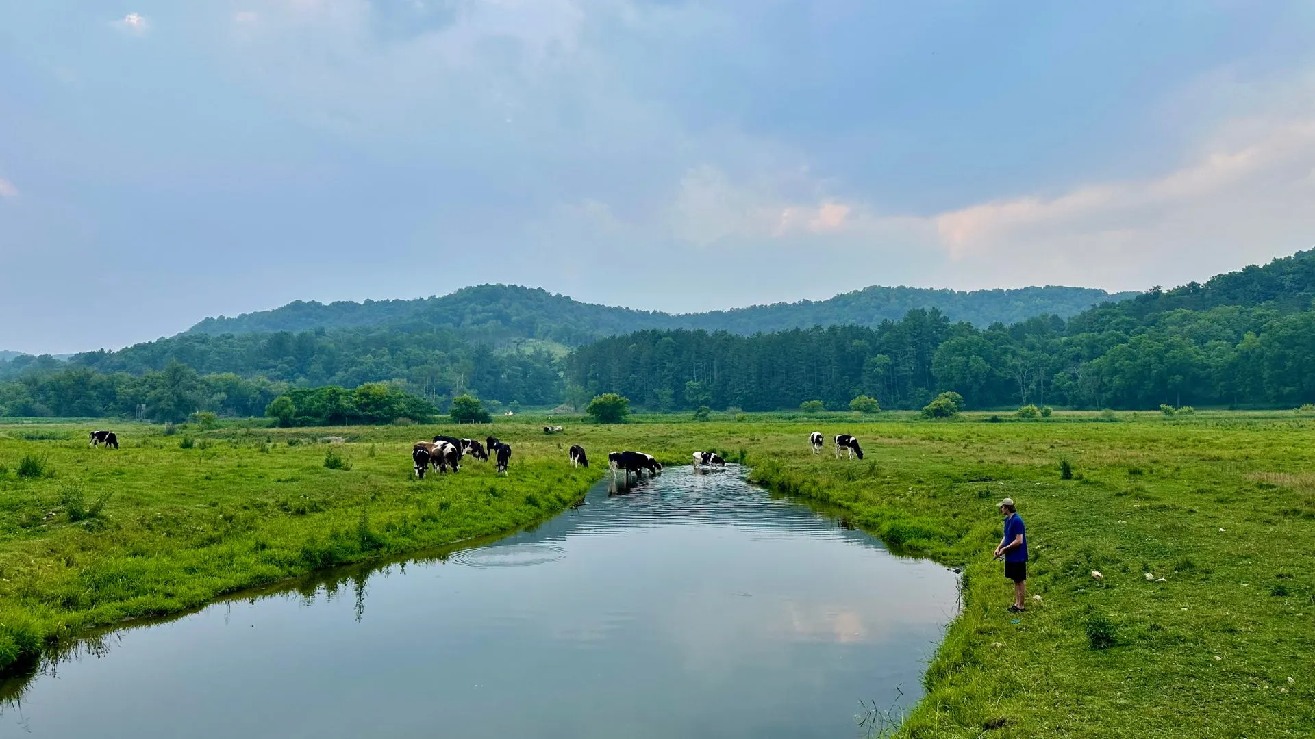 Driftless Fishing Driftless Fishing