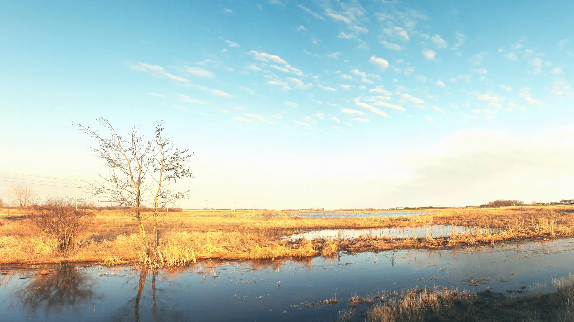 Facts about Manitoba -4