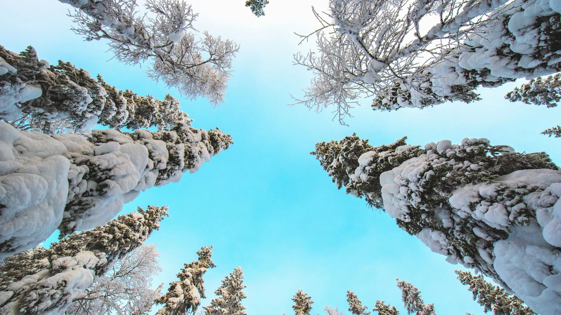 Finland-12