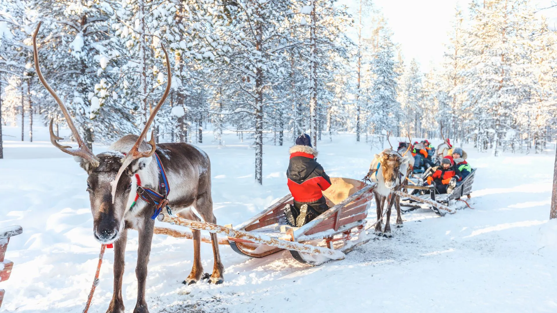 Finland-8