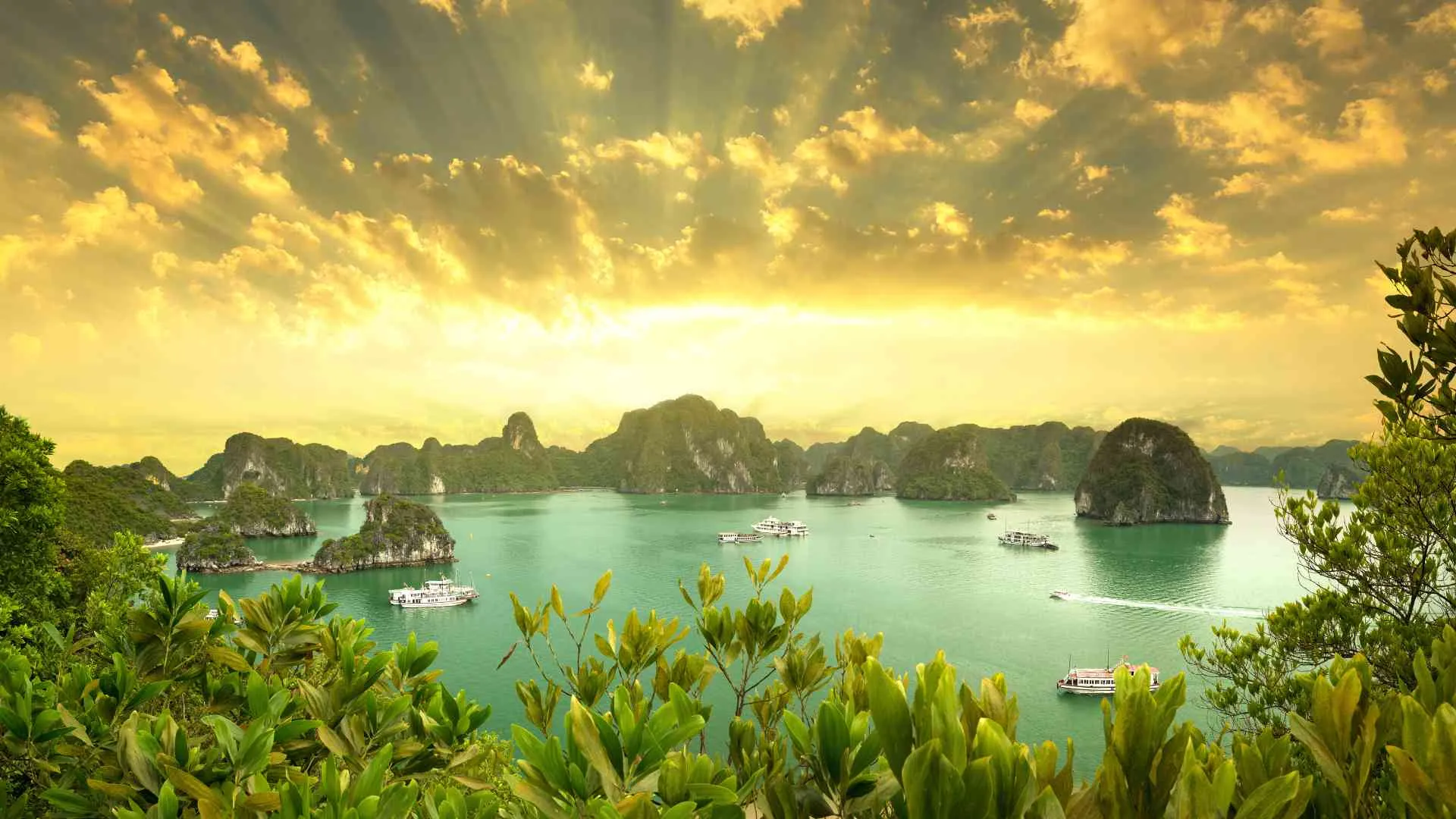 Halong Bay cruise Ha Long Bay cruise