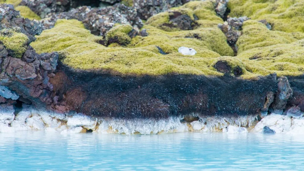 Iceland Hot Springs