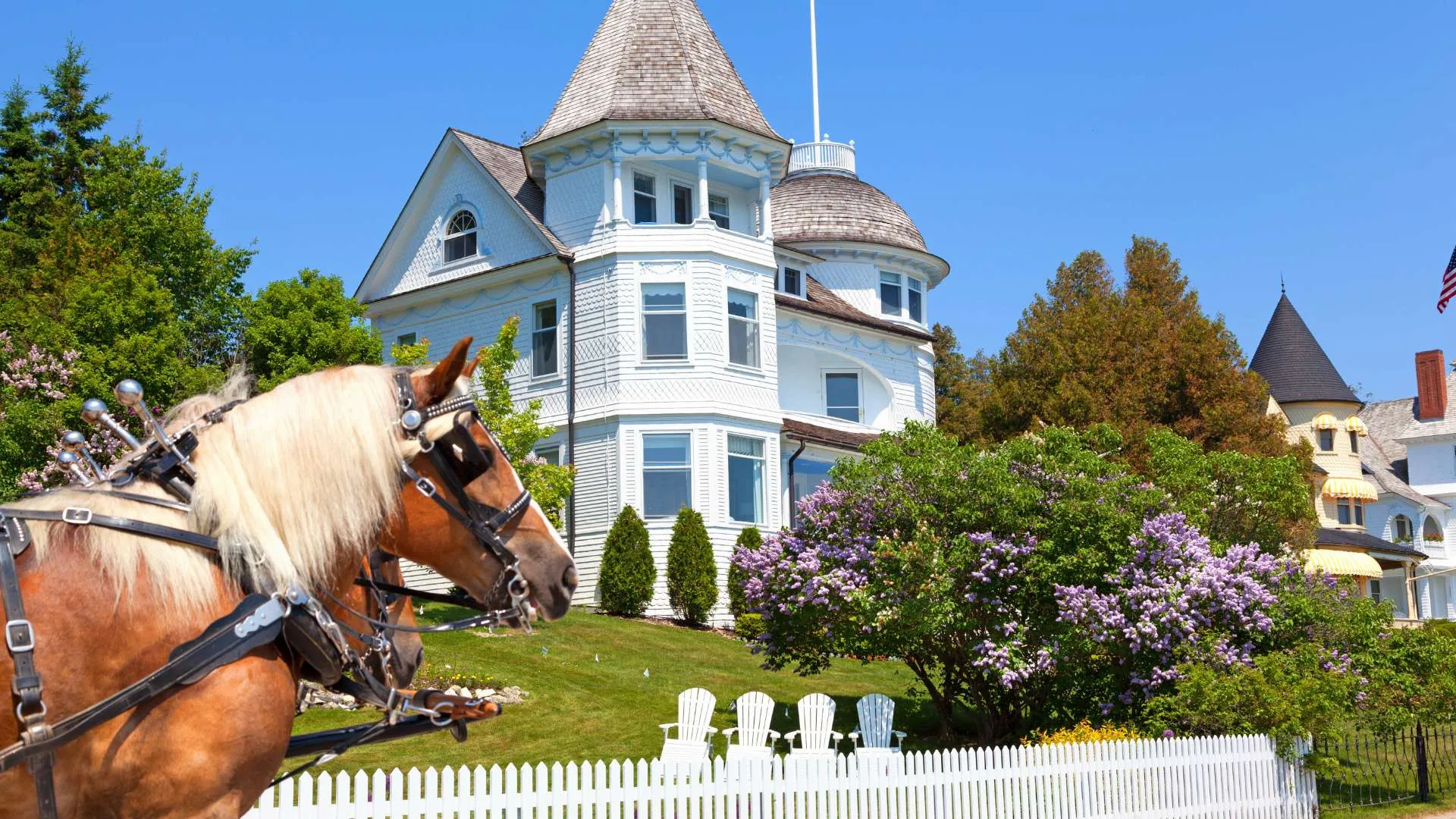 Mackinac Island Cruise https://cruisecritic.tp.st/W9oZexH3