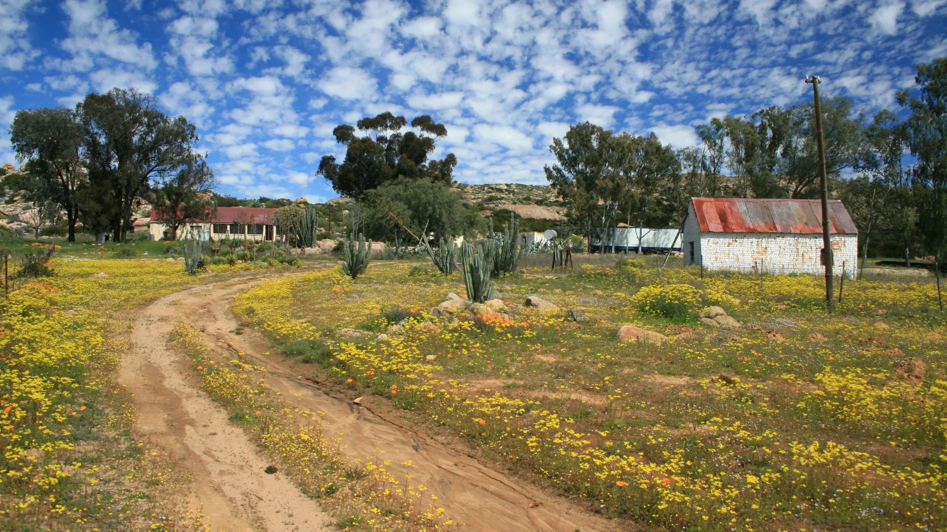 Namaqualand South Africa-4