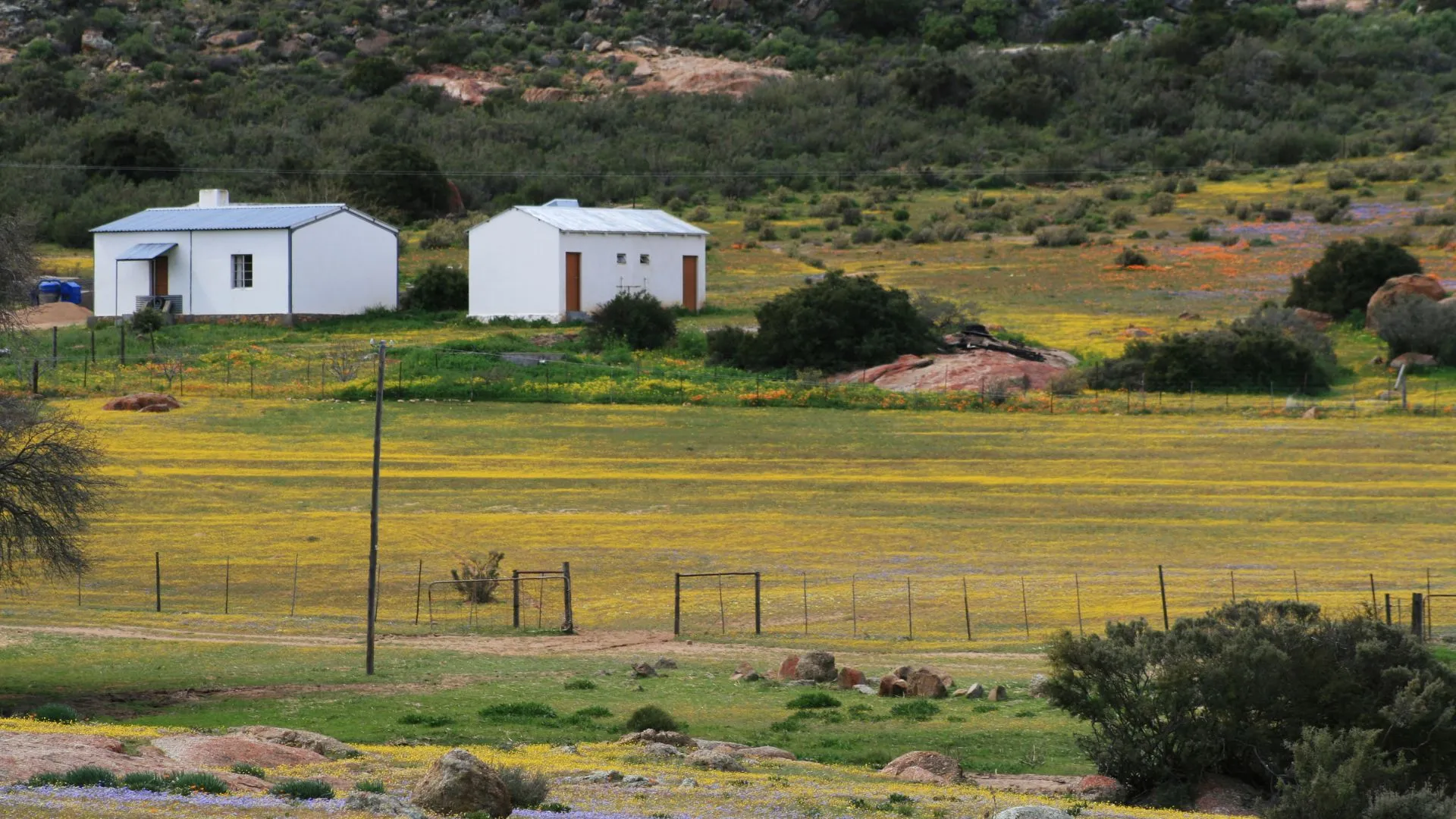 Namaqualand South Africa-5