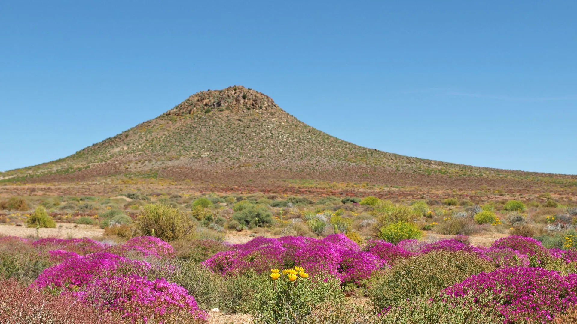 Namaqualand South Africa-9
