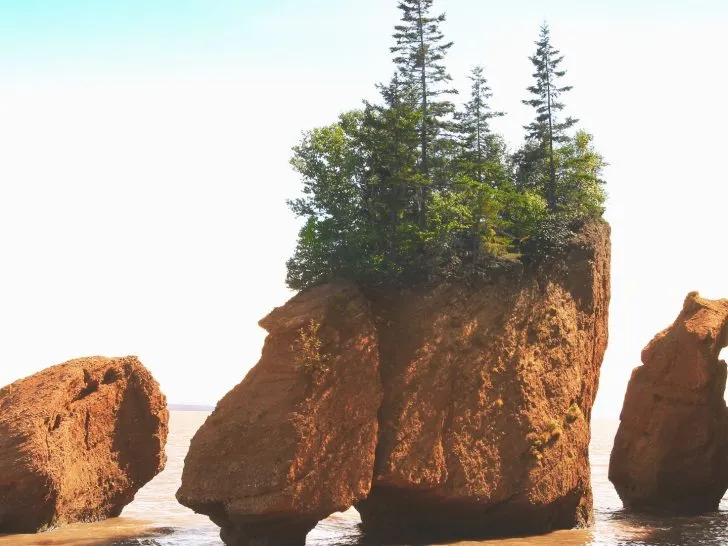 New Brunswick