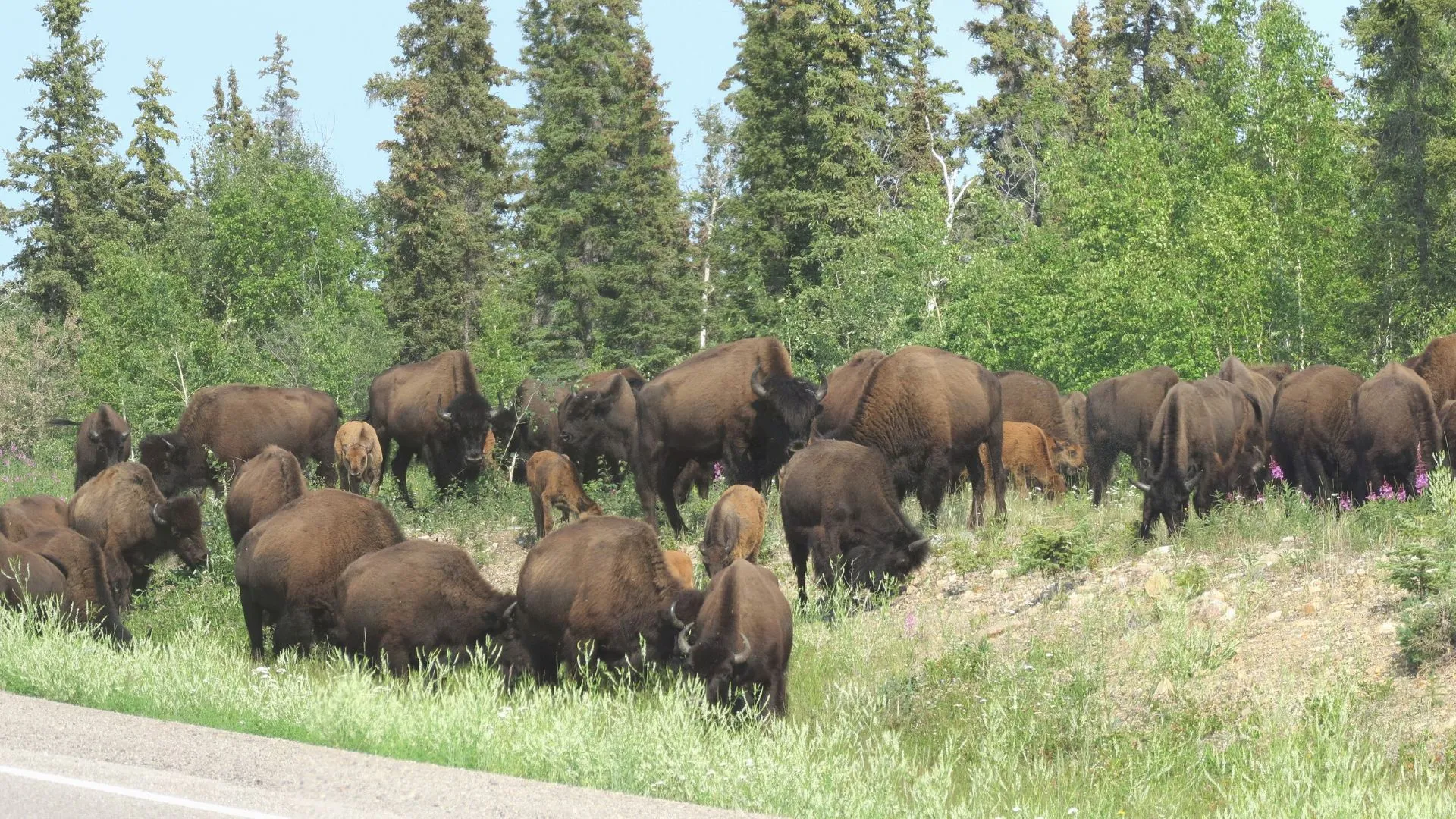 Northwest Territories-6