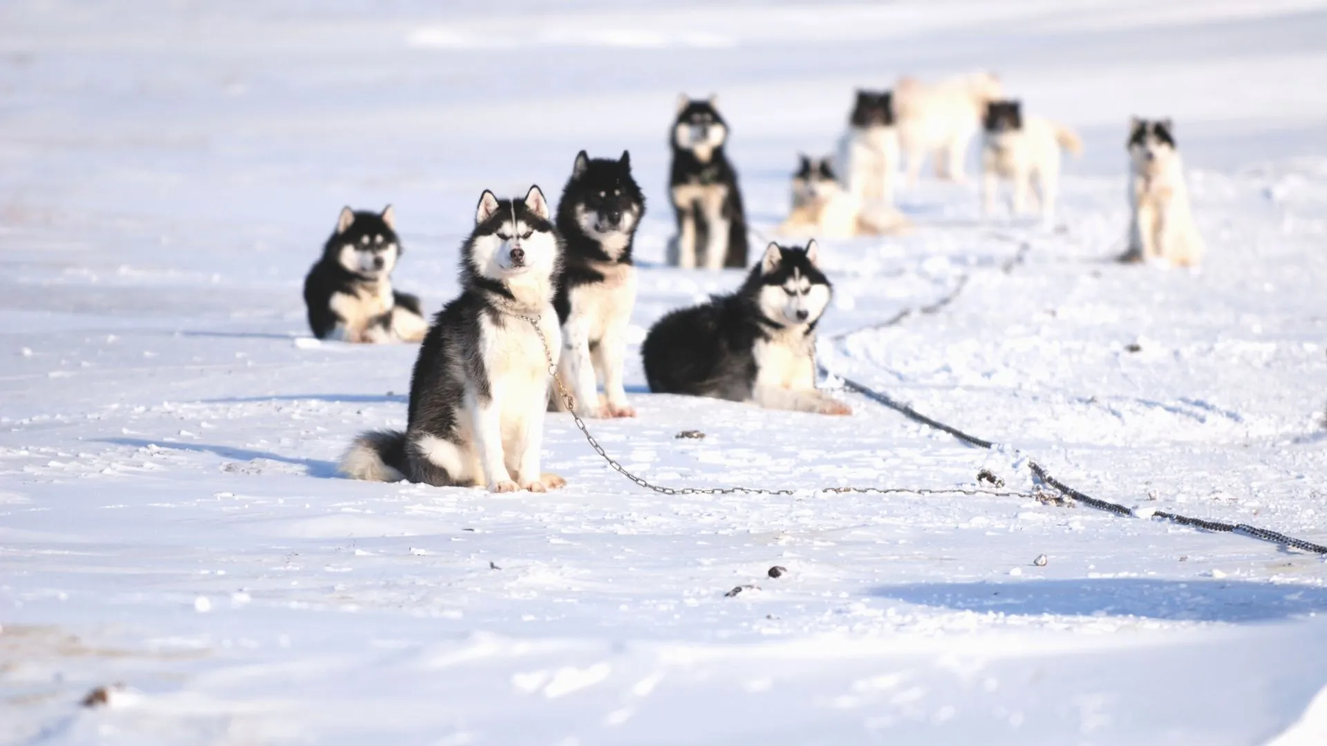 Nunavut facts-4