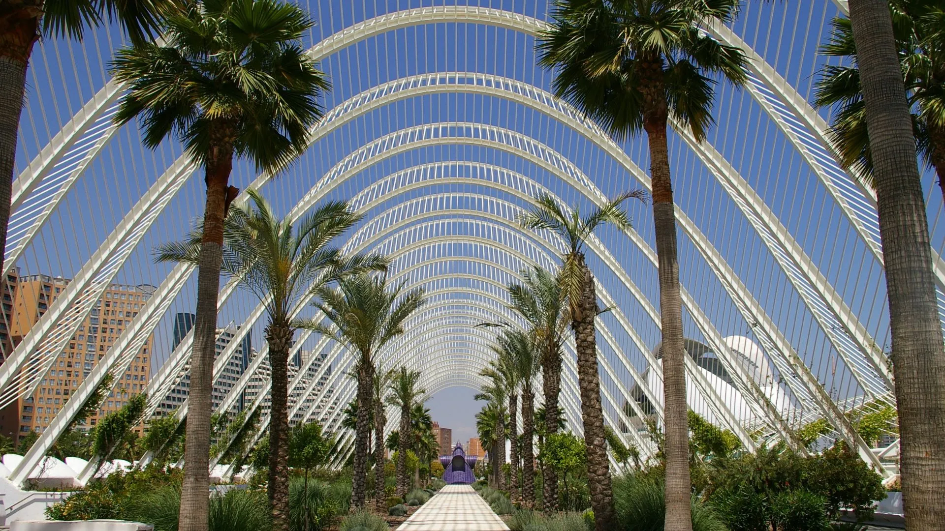 Valencia Spain Museums