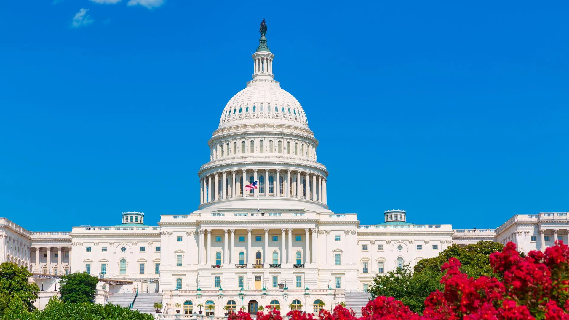 Washington DC-9