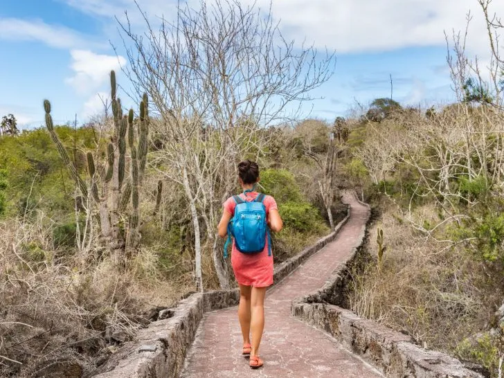ecotourism activities