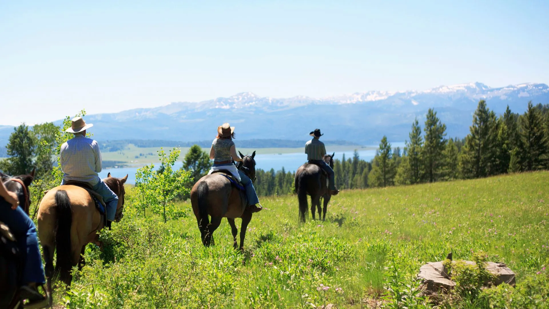 activities of ecotourism (8) ecotourism horseback riding