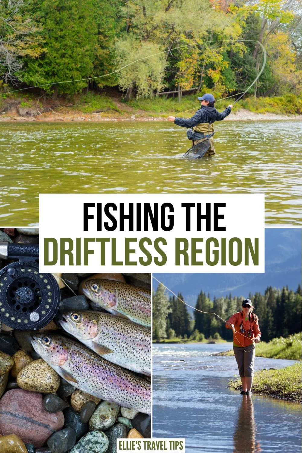 fishing the Driftless region Driftless region fishing