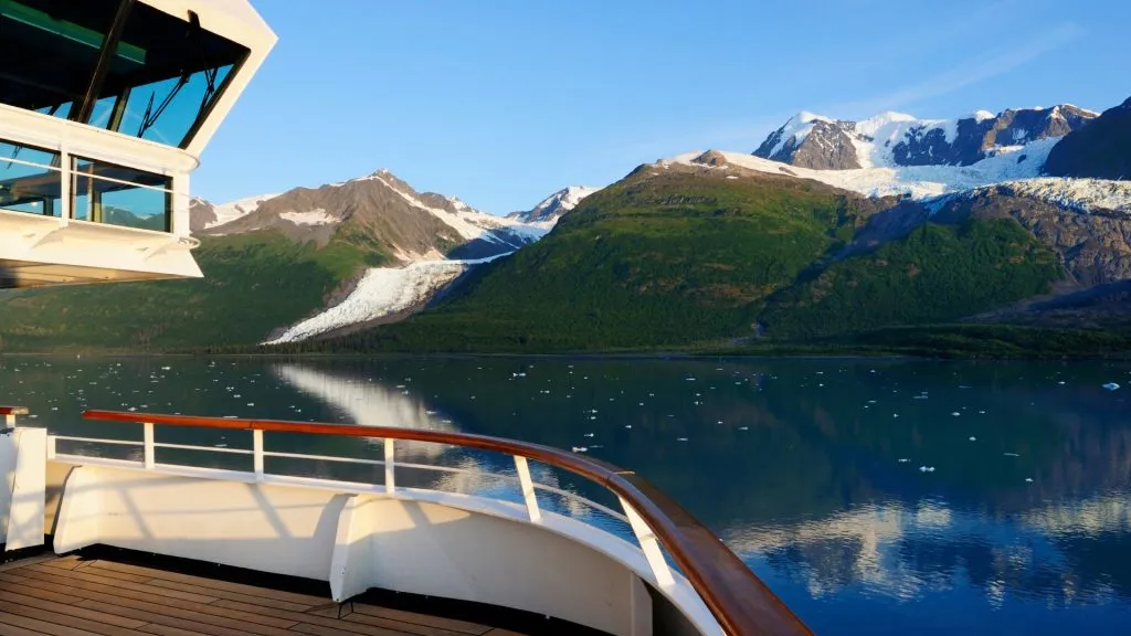 cruises for whale watching
