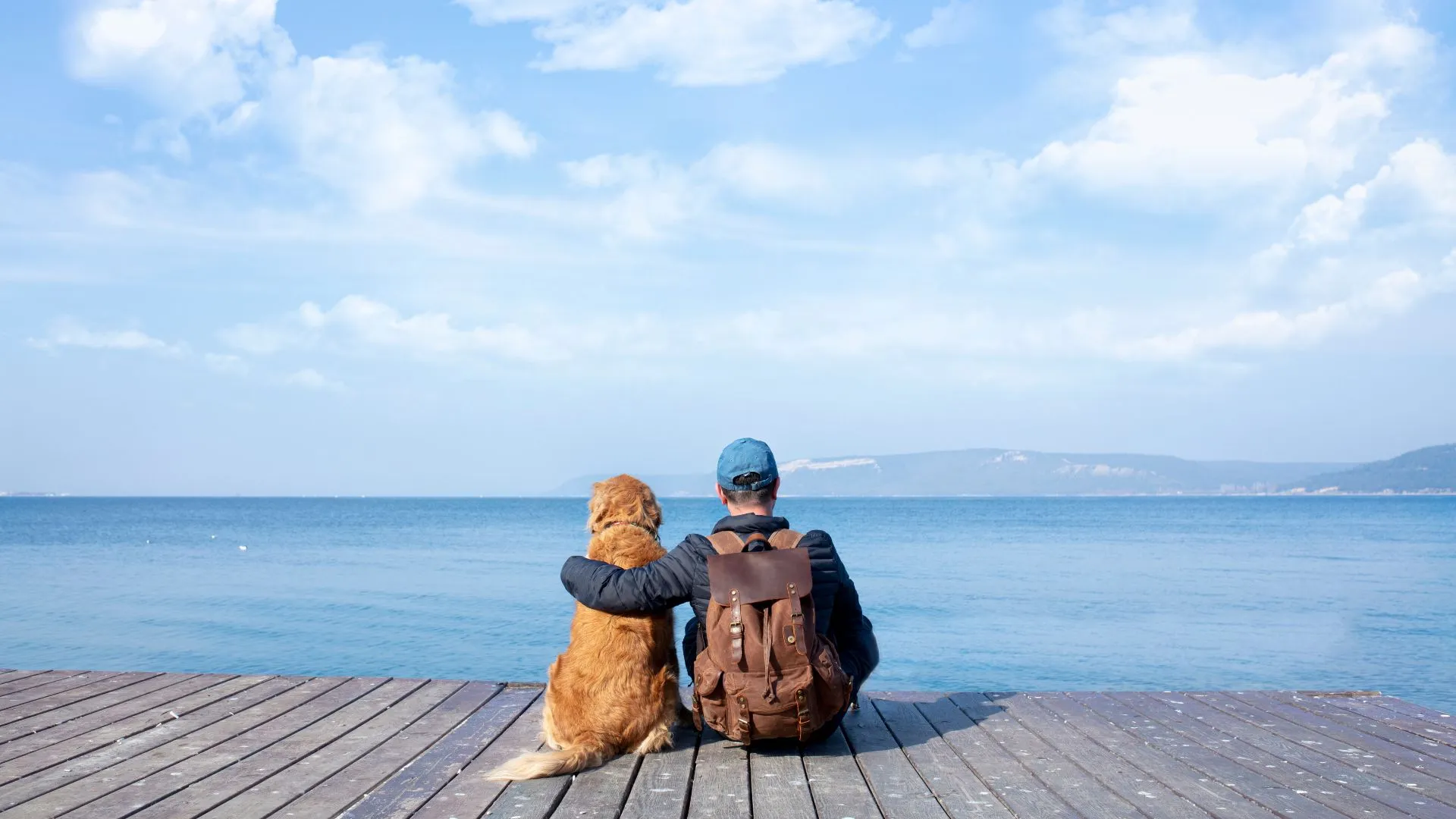dog friendly vacation-4