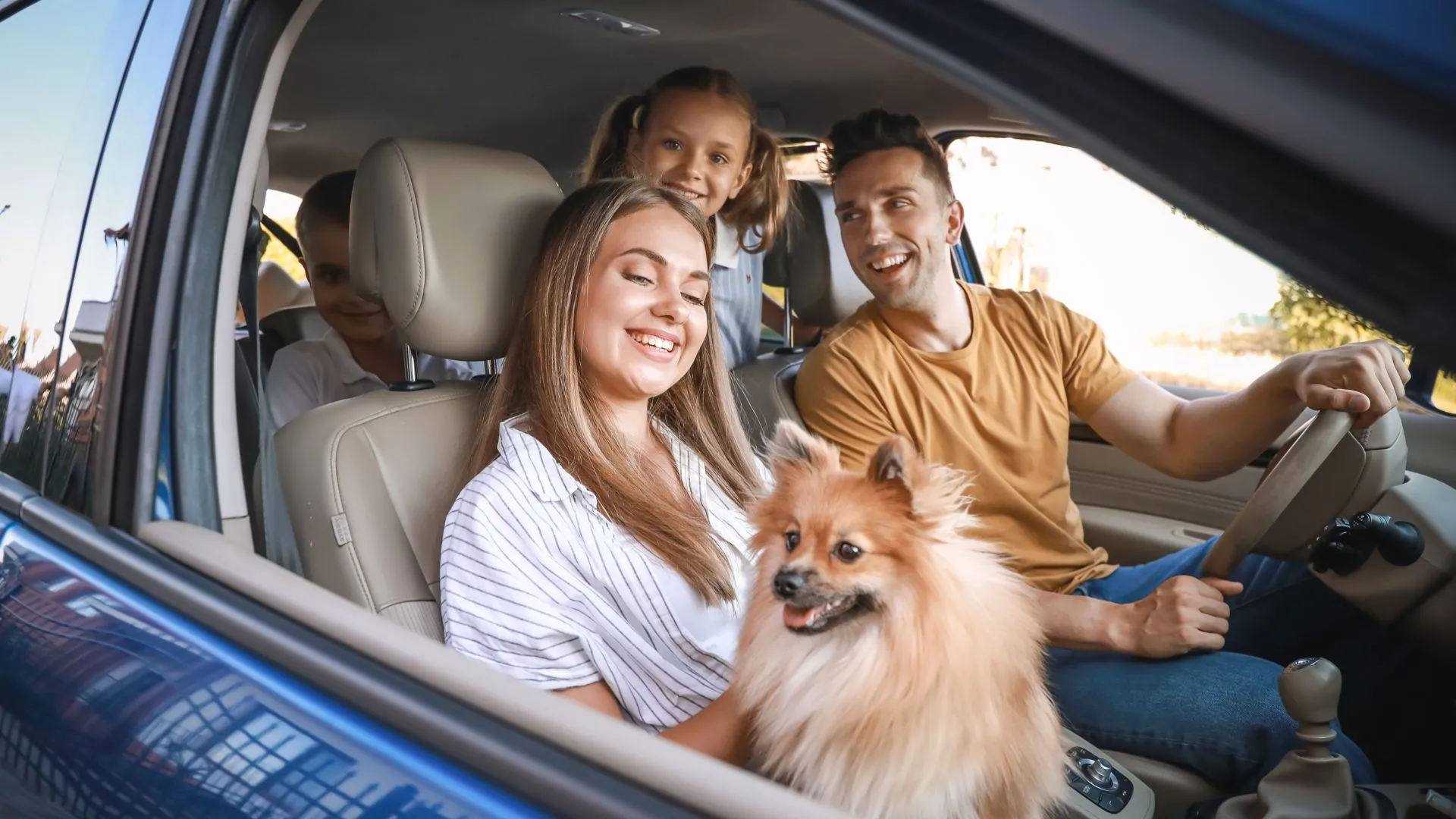 dog friendly vacation-6