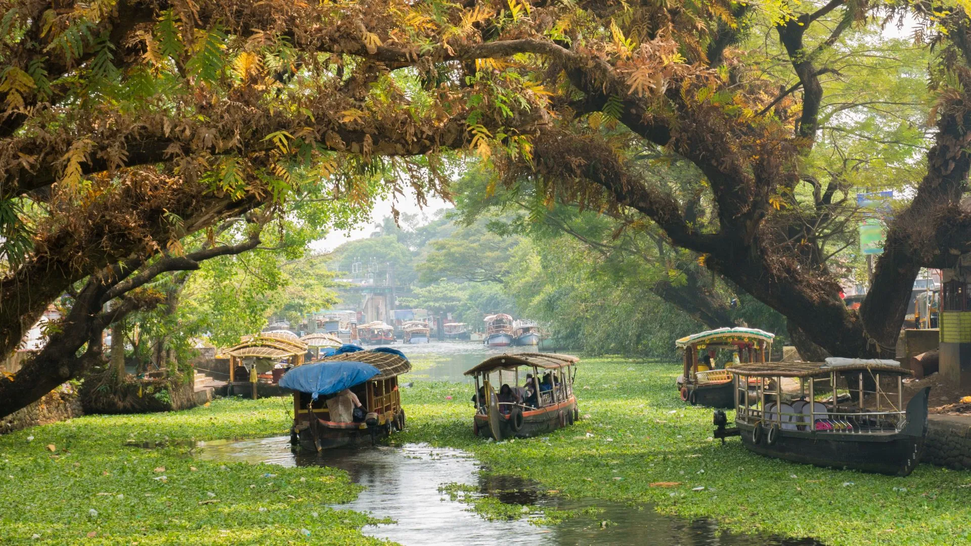 kerala ecotourism river