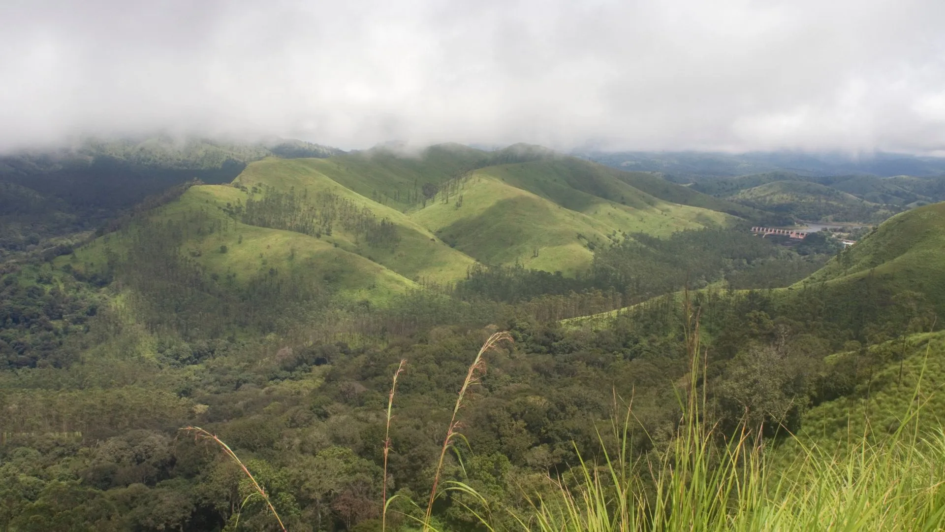 ecotourism in kerala (5) Periyar Tiger Reserve