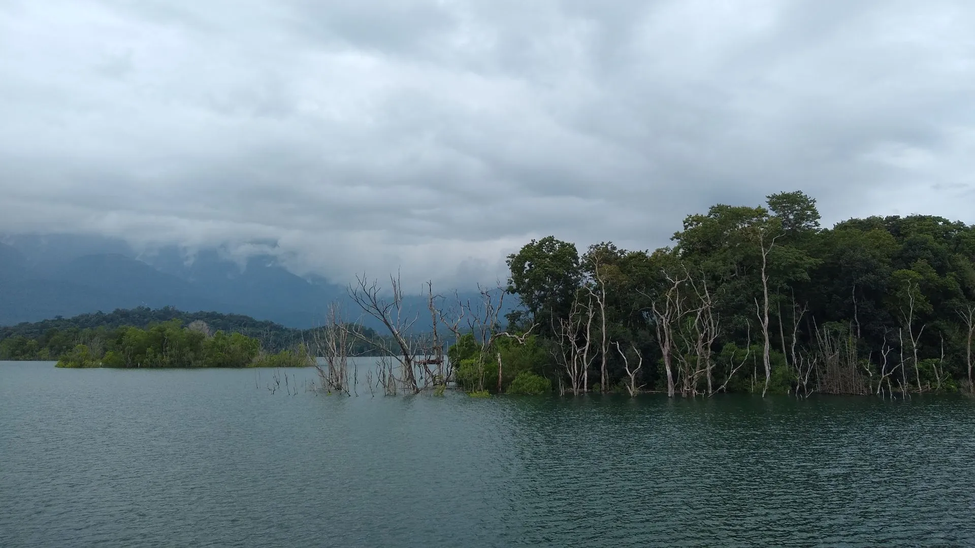 ecotourism in kerala (8) Peppara Wildlife Sanctuary