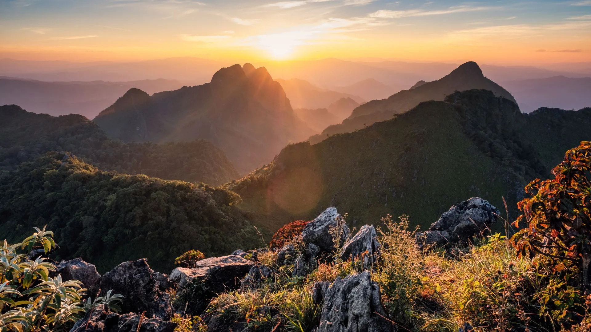 kerala ecotourism Idukki Wildlife Sanctuary