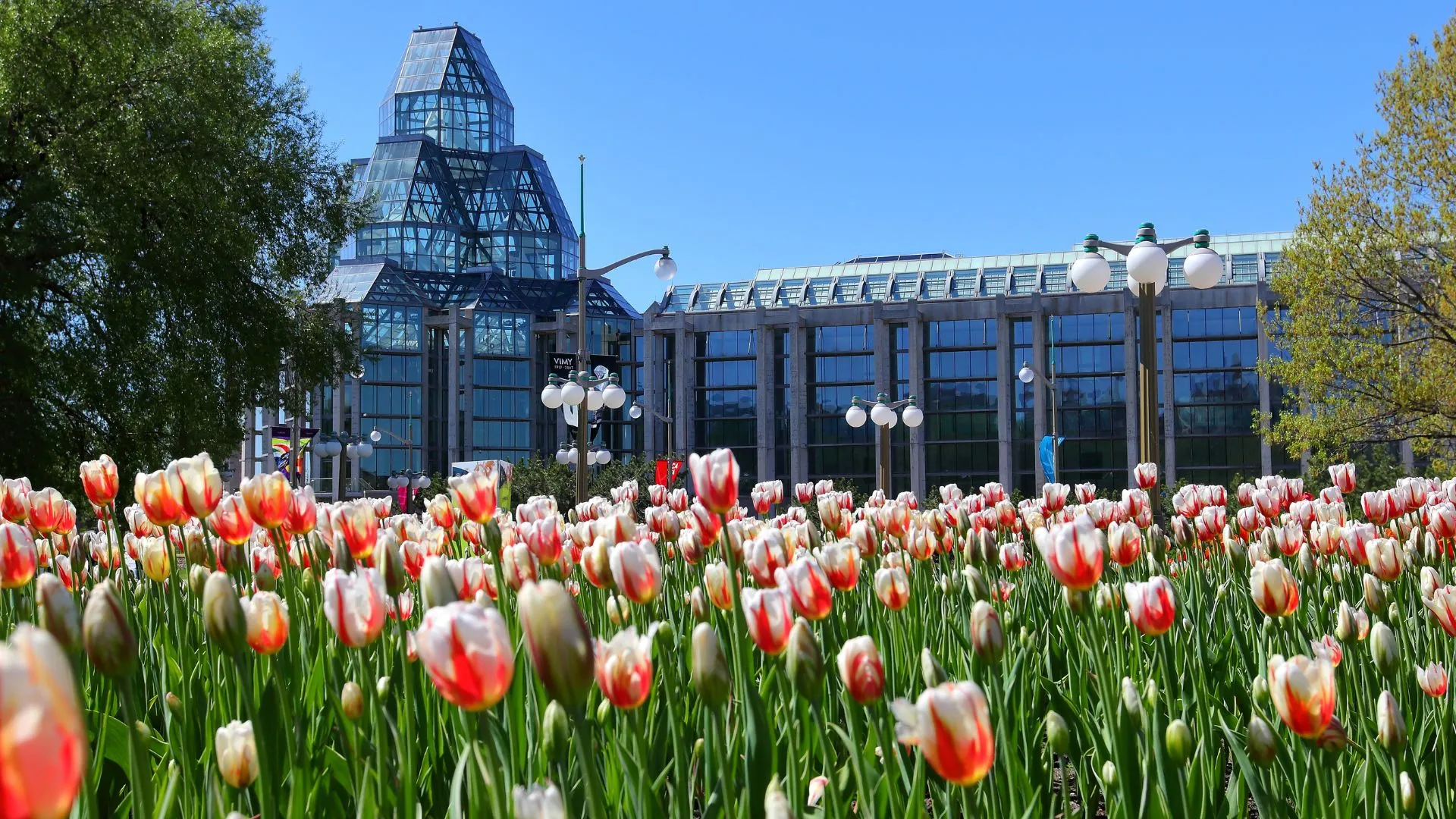 flower festivals around the world-11 Tulip Festival
