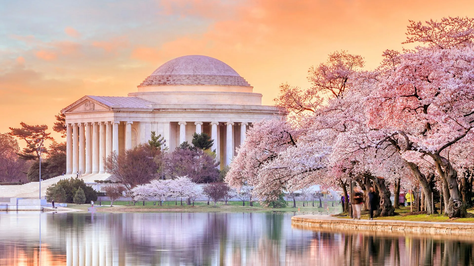 flower festivals around the world-13 Cherry Blossoms