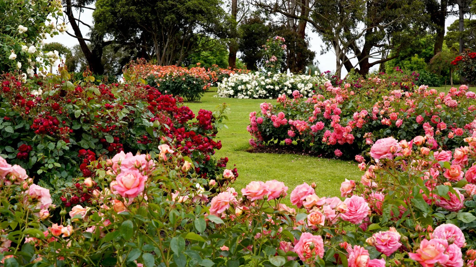 flower festivals around the world-15