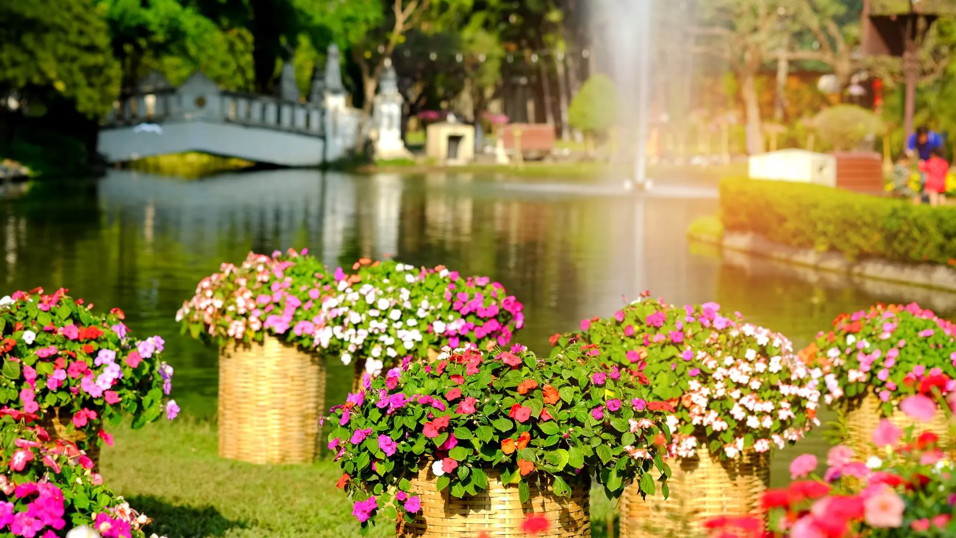 flower festivals around the world-7 Batalla de Flores