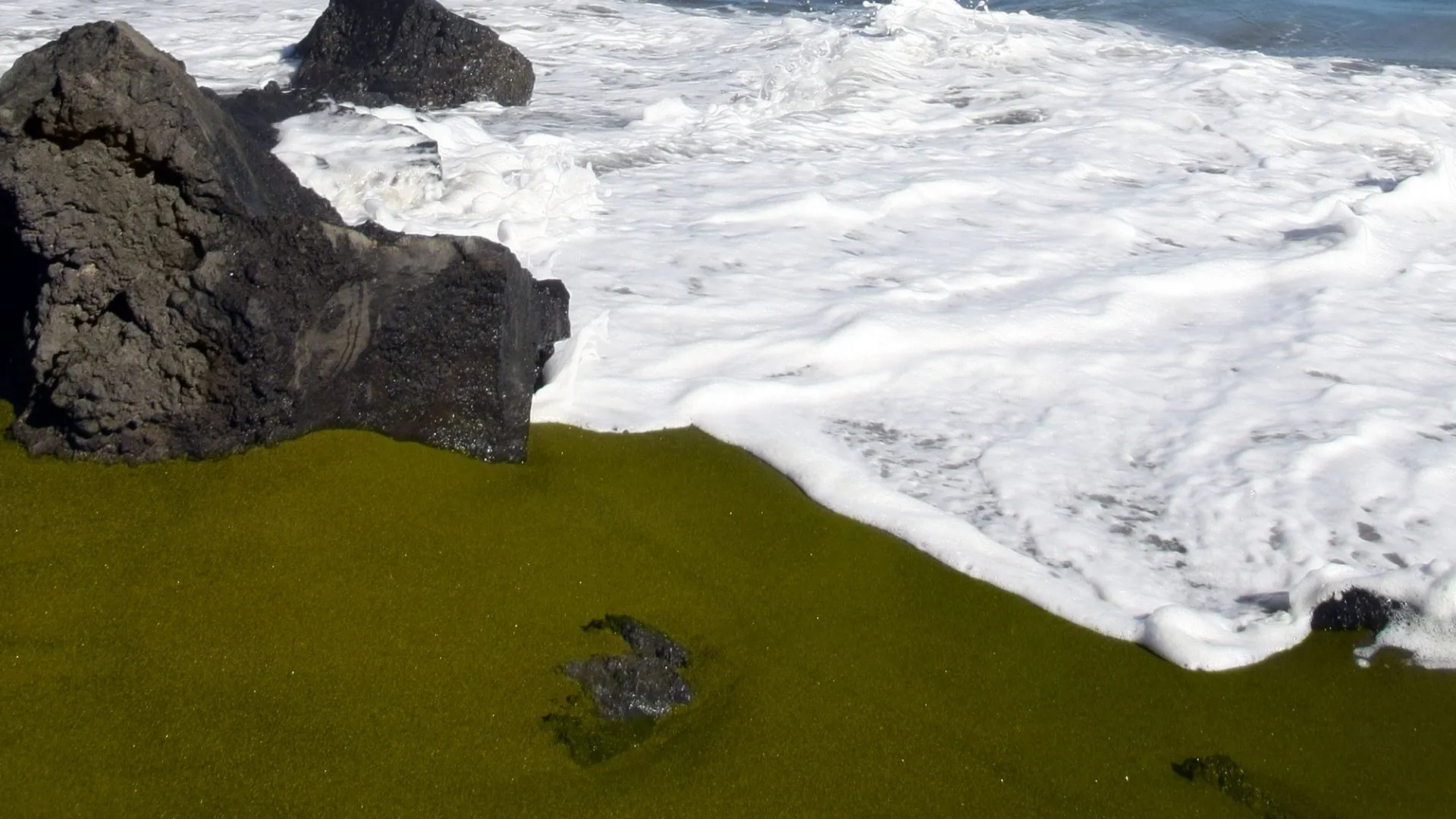 hawaii green sand beach (1) hawaii green sand beach